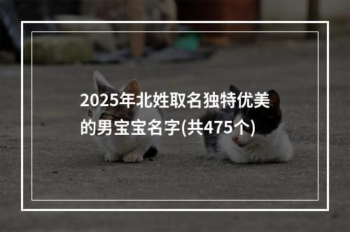 2025年北姓取名独特优美的男宝宝名字(共475个)