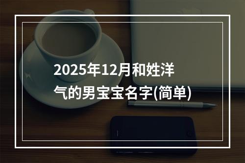 2025年12月和姓洋气的男宝宝名字(简单)