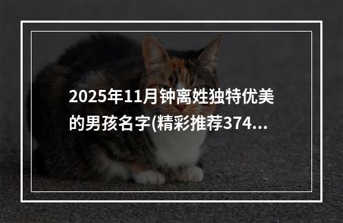 2025年11月钟离姓独特优美的男孩名字(精彩推荐374个)