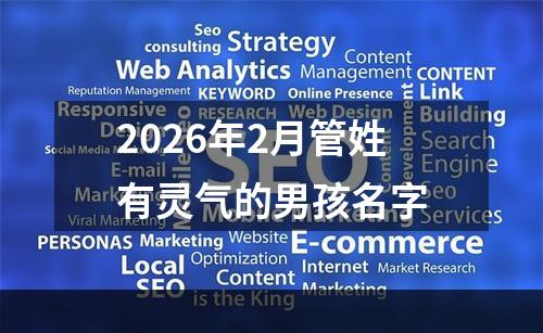 2026年2月管姓有灵气的男孩名字