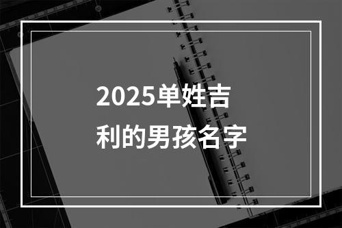 2025单姓吉利的男孩名字