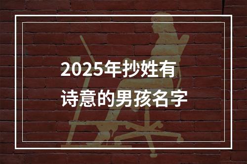 2025年抄姓有诗意的男孩名字