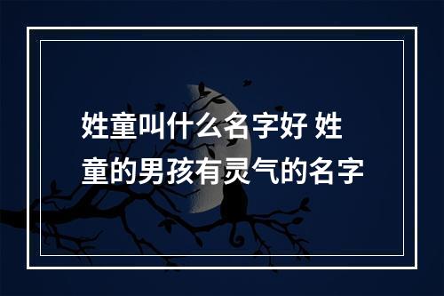 姓童叫什么名字好 姓童的男孩有灵气的名字