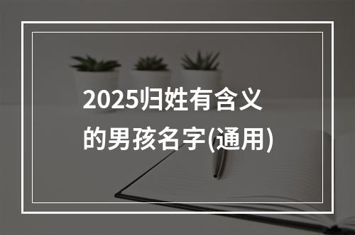2025归姓有含义的男孩名字(通用)
