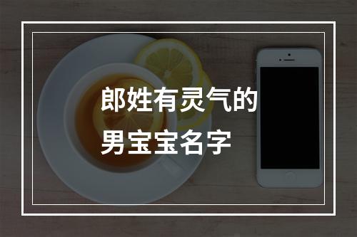 郎姓有灵气的男宝宝名字