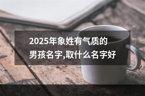2025年象姓有气质的男孩名字,取什么名字好