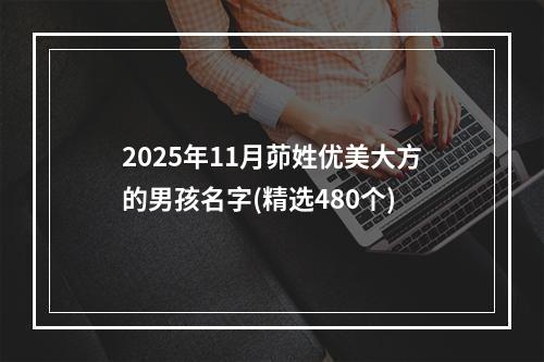 2025年11月茆姓优美大方的男孩名字(精选480个)