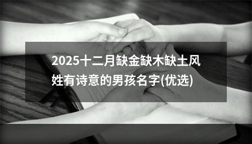 2025十二月缺金缺木缺土风姓有诗意的男孩名字(优选)
