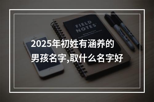 2025年初姓有涵养的男孩名字,取什么名字好