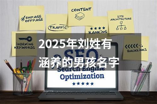 2025年刘姓有涵养的男孩名字