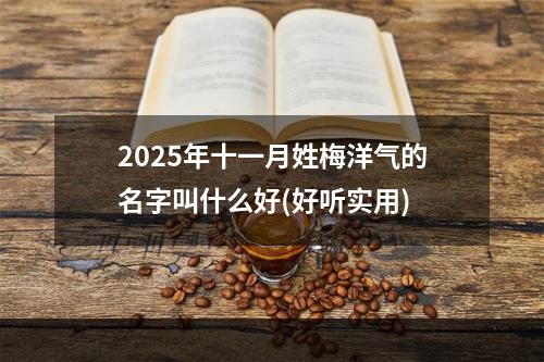 2025年十一月姓梅洋气的名字叫什么好(好听实用)