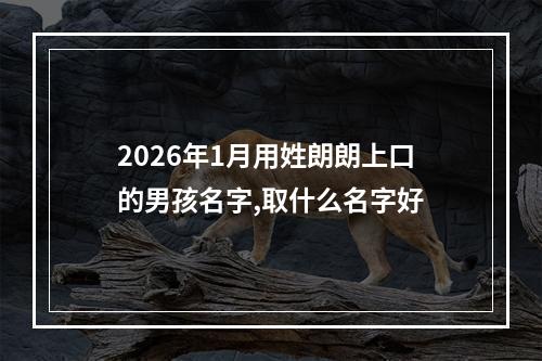 2026年1月用姓朗朗上口的男孩名字,取什么名字好