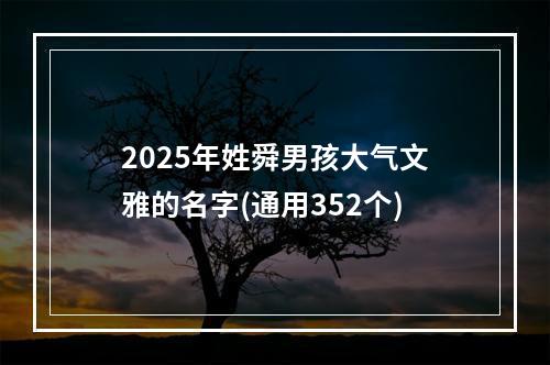 2025年姓舜男孩大气文雅的名字(通用352个)