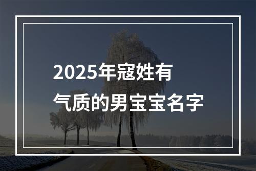 2025年寇姓有气质的男宝宝名字