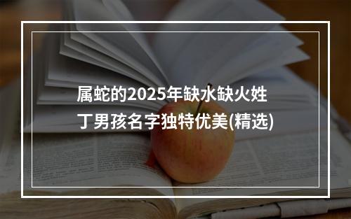 属蛇的2025年缺水缺火姓丁男孩名字独特优美(精选)