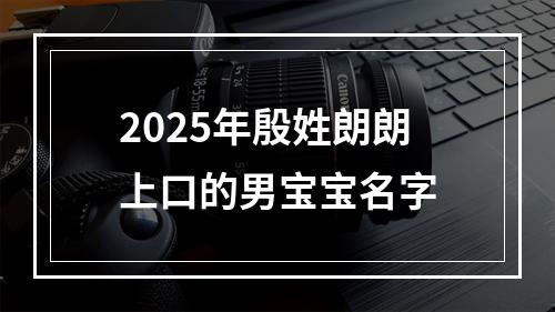 2025年殷姓朗朗上口的男宝宝名字