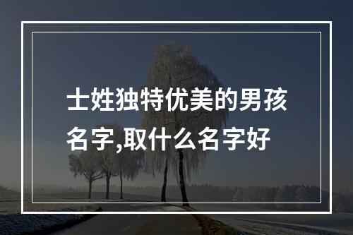 士姓独特优美的男孩名字,取什么名字好