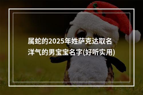属蛇的2025年姓萨克达取名洋气的男宝宝名字(好听实用)
