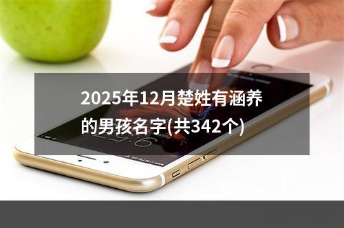 2025年12月楚姓有涵养的男孩名字(共342个)