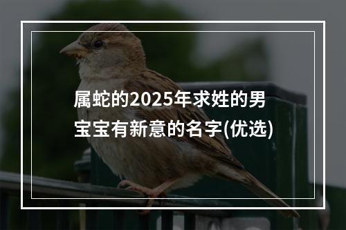 属蛇的2025年求姓的男宝宝有新意的名字(优选)