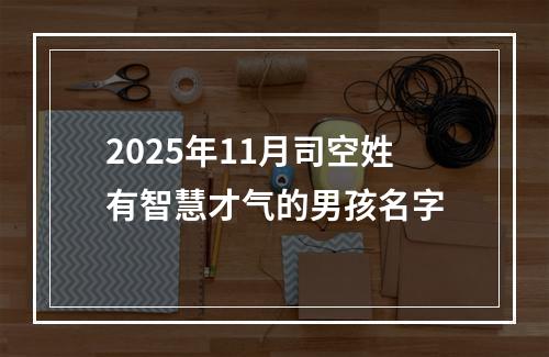2025年11月司空姓有智慧才气的男孩名字