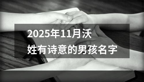 2025年11月沃姓有诗意的男孩名字