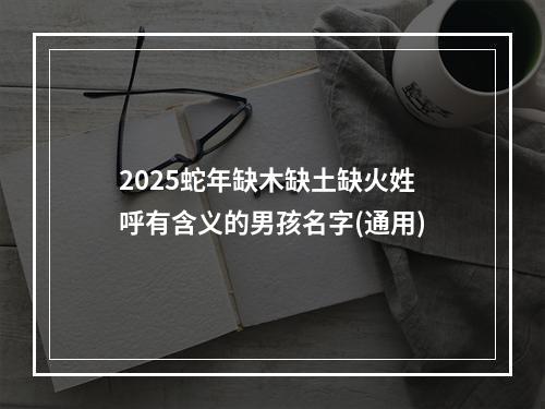 2025蛇年缺木缺土缺火姓呼有含义的男孩名字(通用)