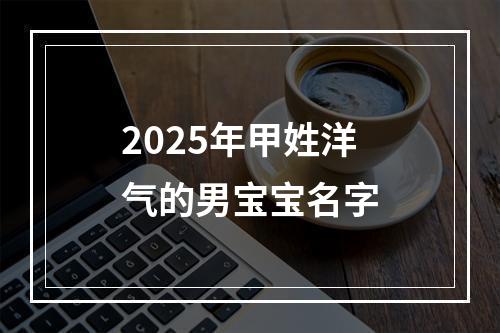2025年甲姓洋气的男宝宝名字