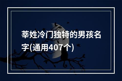 莘姓冷门独特的男孩名字(通用407个)