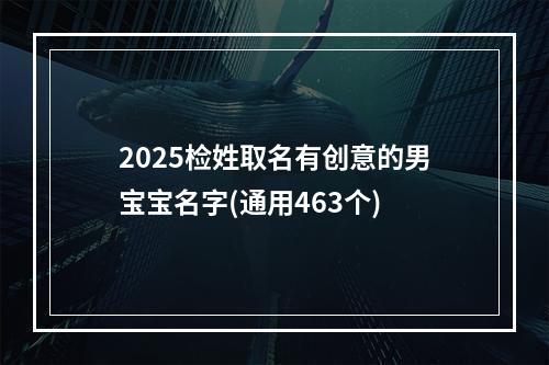 2025检姓取名有创意的男宝宝名字(通用463个)