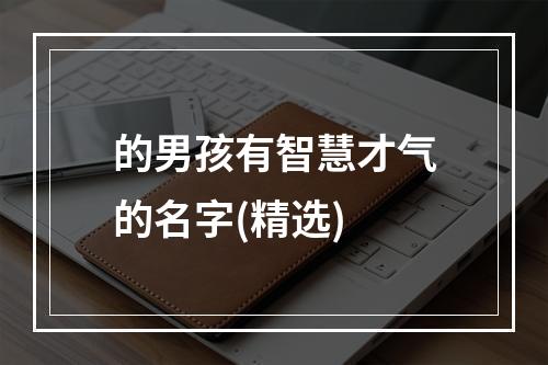的男孩有智慧才气的名字(精选)
