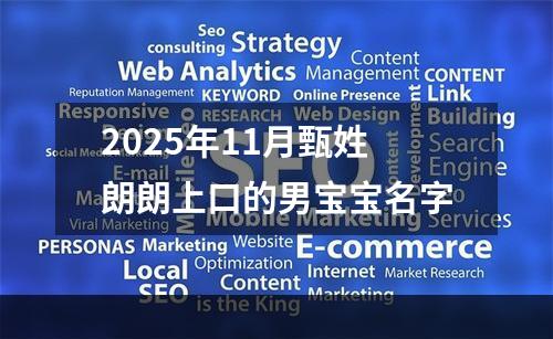 2025年11月甄姓朗朗上口的男宝宝名字