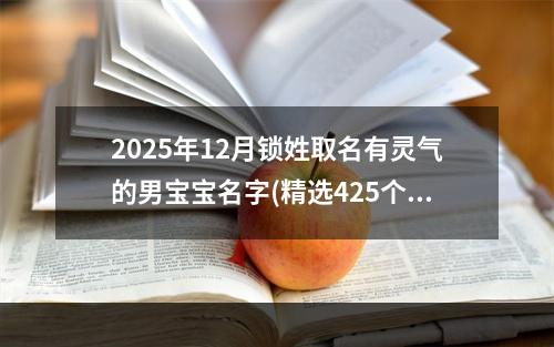 2025年12月锁姓取名有灵气的男宝宝名字(精选425个)