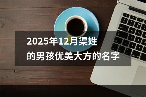 2025年12月渠姓的男孩优美大方的名字
