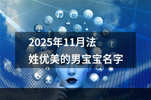 2025年11月法姓优美的男宝宝名字