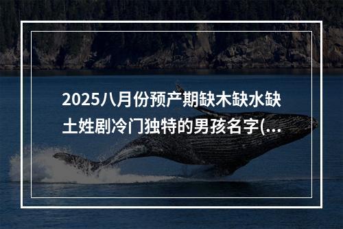 2025八月份预产期缺木缺水缺土姓剧冷门独特的男孩名字(通用)