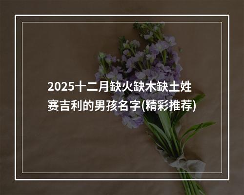 2025十二月缺火缺木缺土姓赛吉利的男孩名字(精彩推荐)