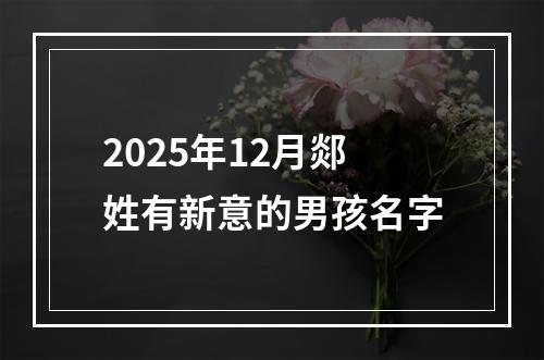 2025年12月郯姓有新意的男孩名字