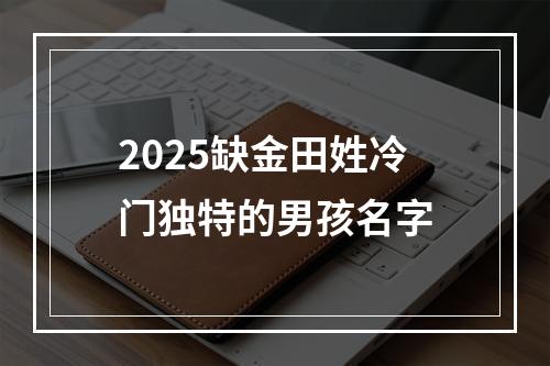 2025缺金田姓冷门独特的男孩名字
