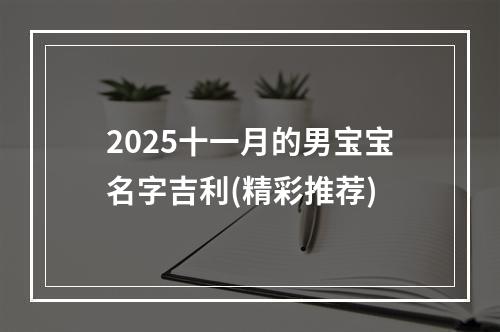 2025十一月的男宝宝名字吉利(精彩推荐)