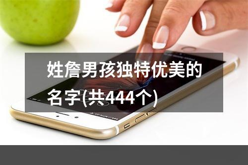 姓詹男孩独特优美的名字(共444个)