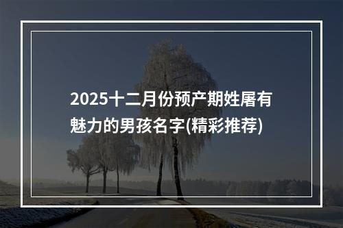 2025十二月份预产期姓屠有魅力的男孩名字(精彩推荐)