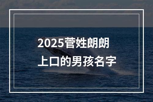 2025菅姓朗朗上口的男孩名字