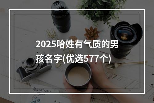 2025哈姓有气质的男孩名字(优选577个)