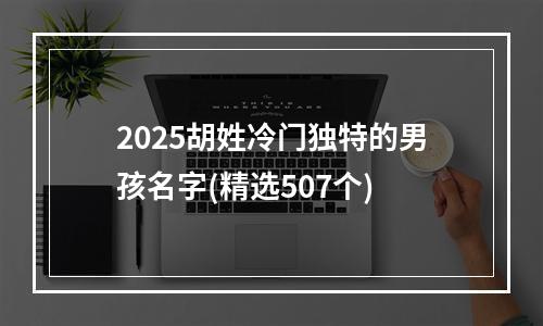 2025胡姓冷门独特的男孩名字(精选507个)