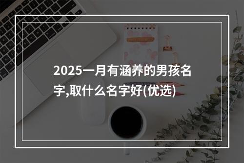 2025一月有涵养的男孩名字,取什么名字好(优选)