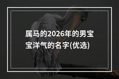 属马的2026年的男宝宝洋气的名字(优选)