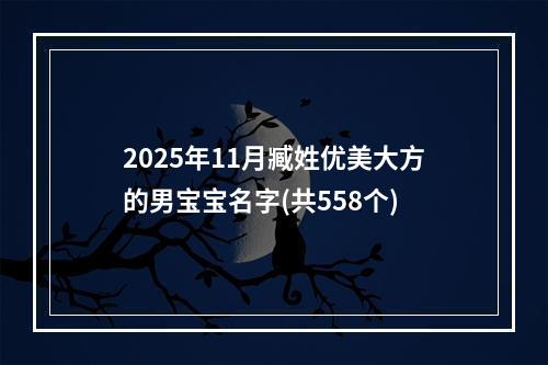 2025年11月臧姓优美大方的男宝宝名字(共558个)