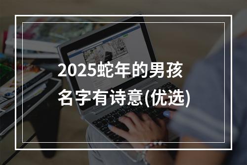 2025蛇年的男孩名字有诗意(优选)