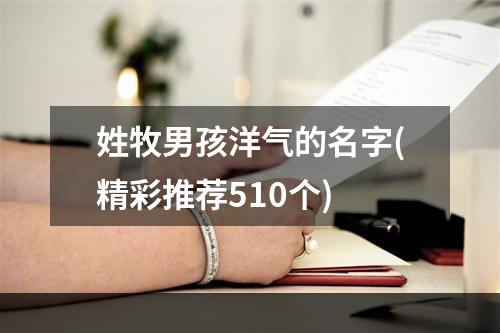 姓牧男孩洋气的名字(精彩推荐510个)